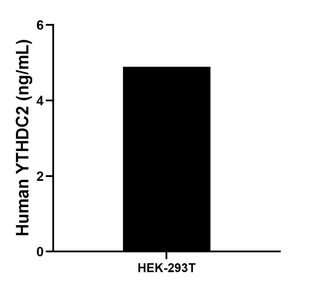 The mean YTHDC2 concentration was determined to be 4.89 ng/mL in HEK-293T cell extract based on a 1.4 mg/mL extract load.